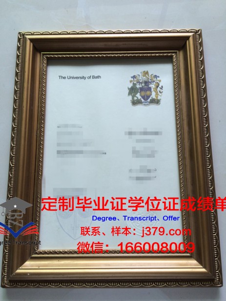 巴斯大学毕业证书没有编号吗