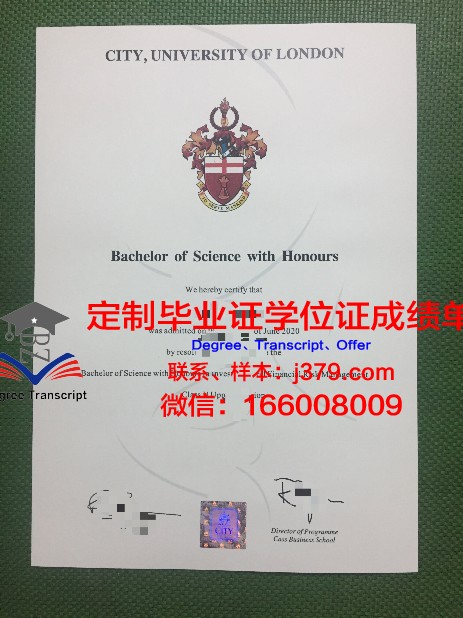 巴格达大学毕业证是真的吗(巴格达学派)