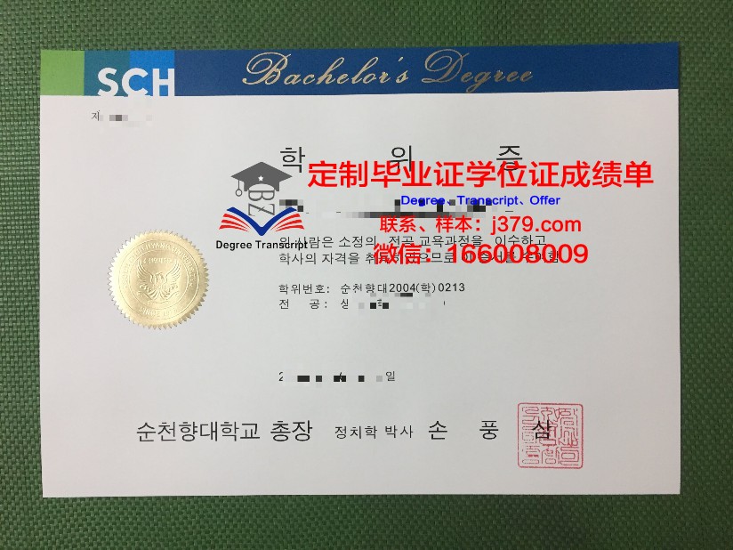 顺天第一大学毕业证定制:揭开行业背后的秘密