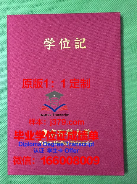 首都大学东京毕业证成绩单:承载荣誉与梦想的纸笔见证