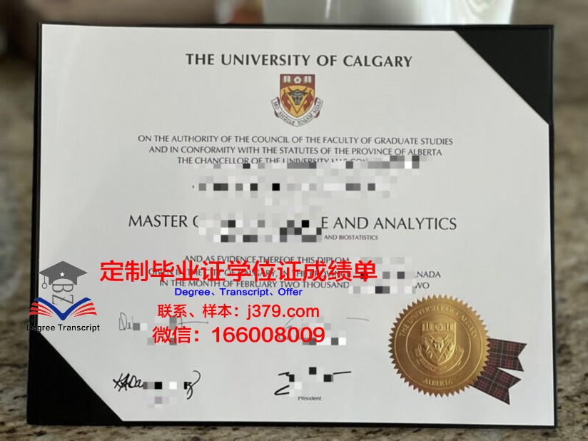 卡尔加里大学毕业证翻译(卡尔加里学院有哪些)