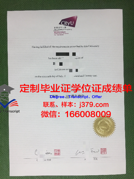 香港城市大学成绩单怎么补(香港城市大学挂科可以补考吗)