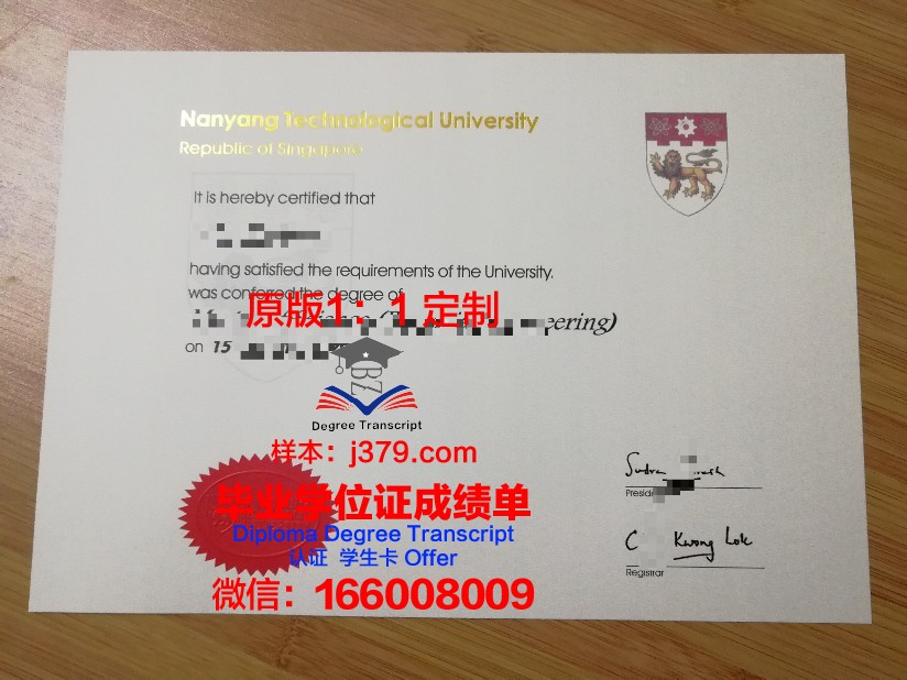 顿河国立服务学院毕业证成绩单：承载荣誉与梦想的纸笔传奇