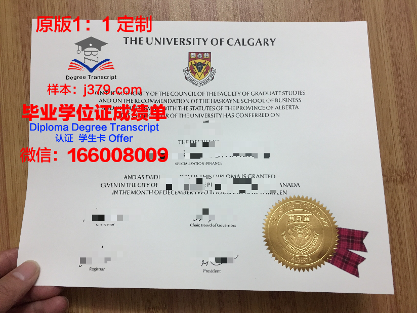 卡尔桑德堡学院毕业文凭