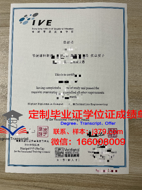 香港工作签证毕业证造假(香港工作签证长什么样)