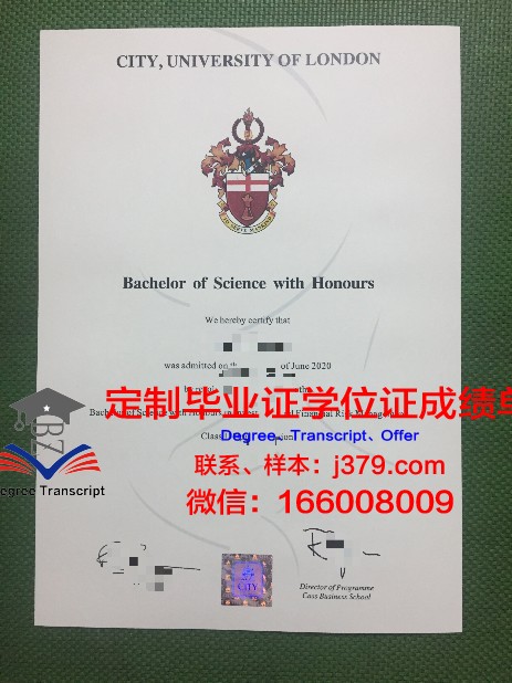 博士毕业证丢了怎么办啊