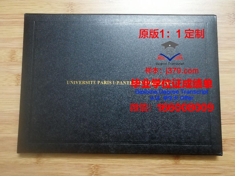 巴黎大学成绩单图片：一纸证书，一段旅程