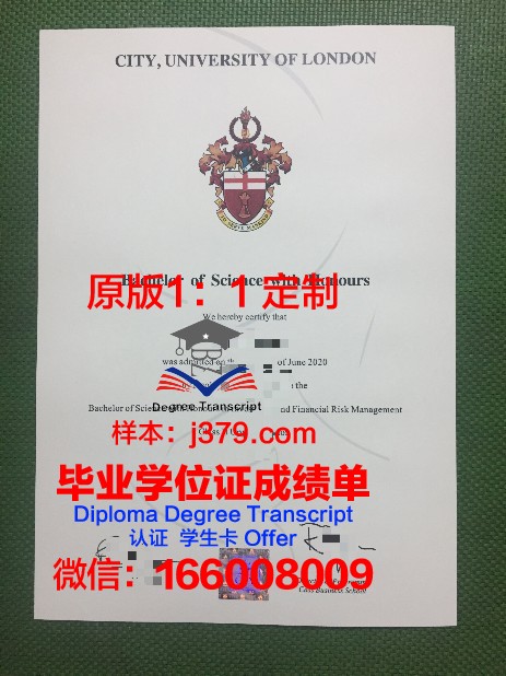巴斯克大学毕业证图片