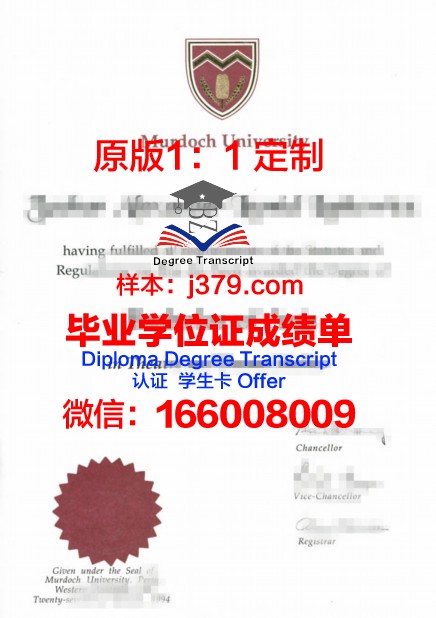 南联大学本科毕业证书图片大全：铭记历史，致敬青春